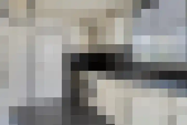 De Korte Beemdens 8 Wessem thumbnail 8