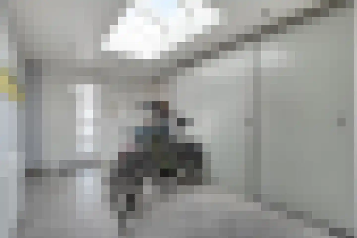 de Korte Drift 9 Rossum thumbnail 25