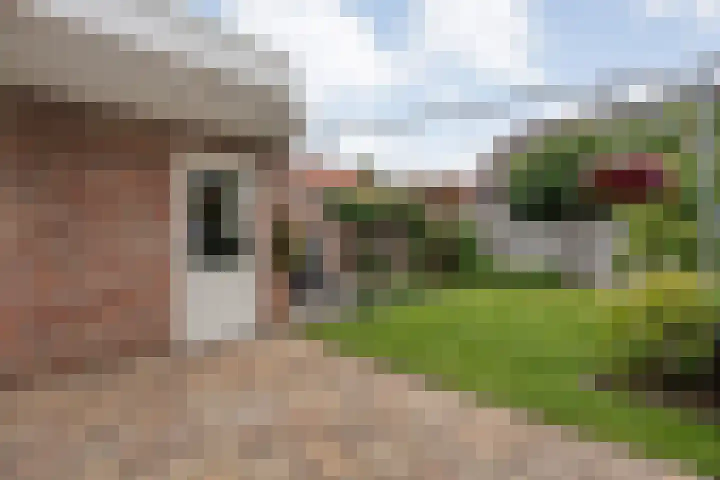de Korte Drift 9 Rossum thumbnail 28