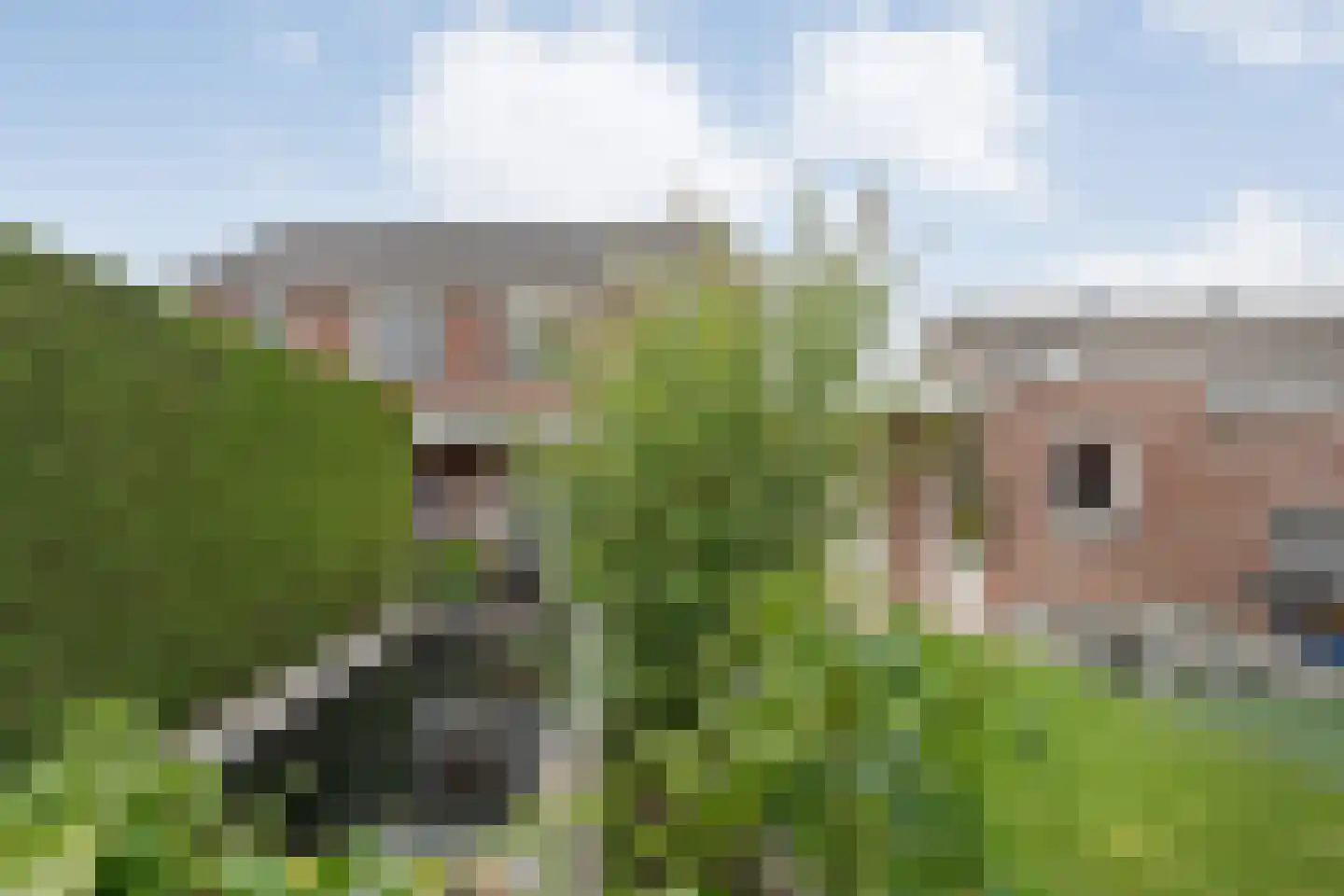 de Korte Drift 9 Rossum thumbnail 30