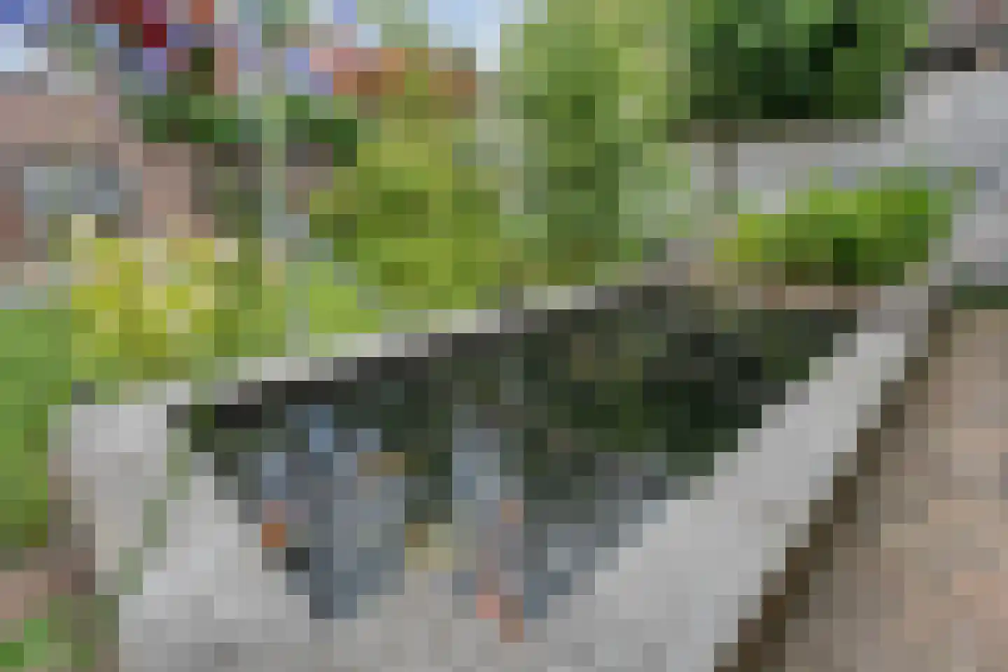 de Korte Drift 9 Rossum thumbnail 31