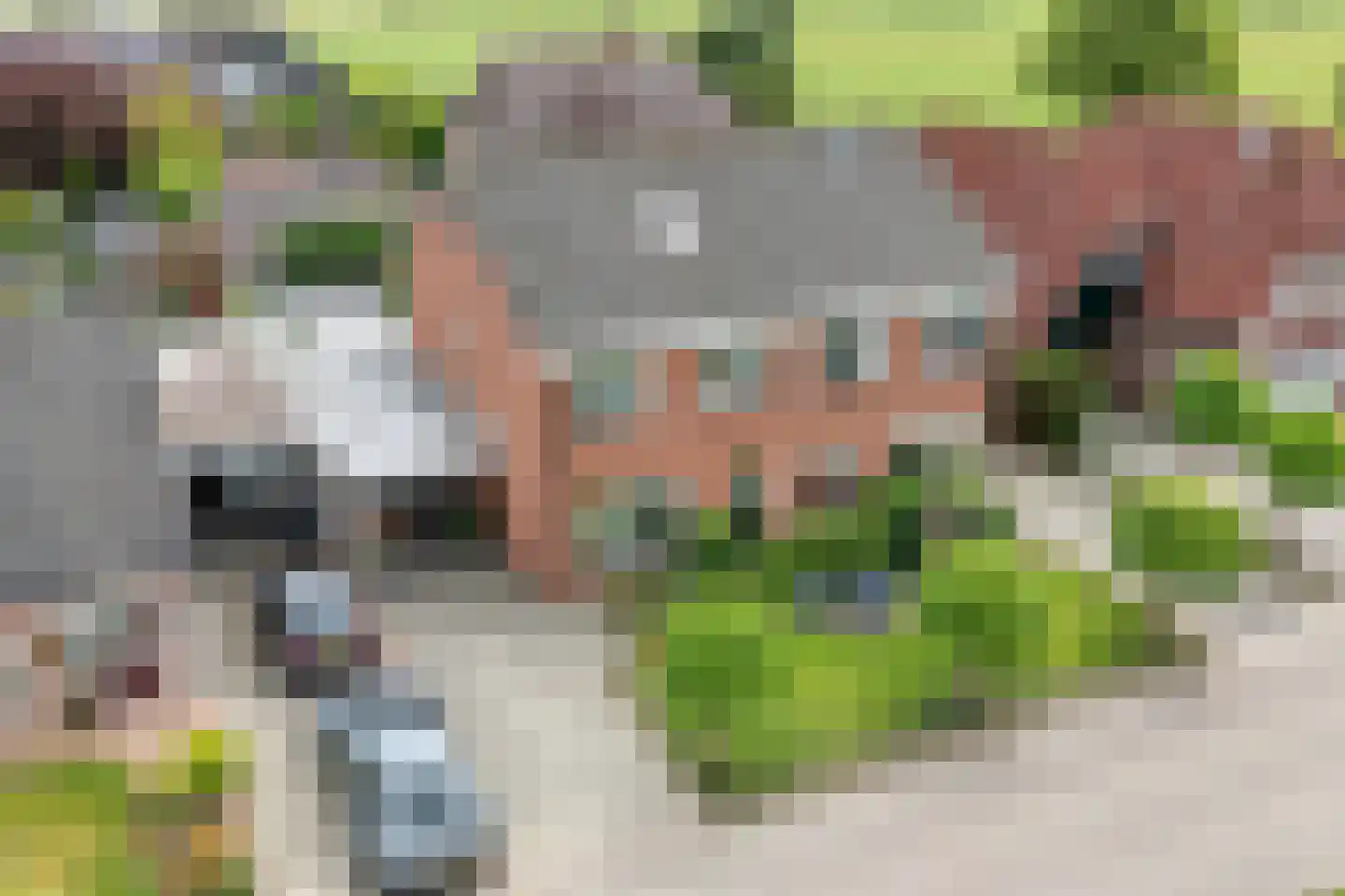 de Korte Drift 9 Rossum thumbnail 32
