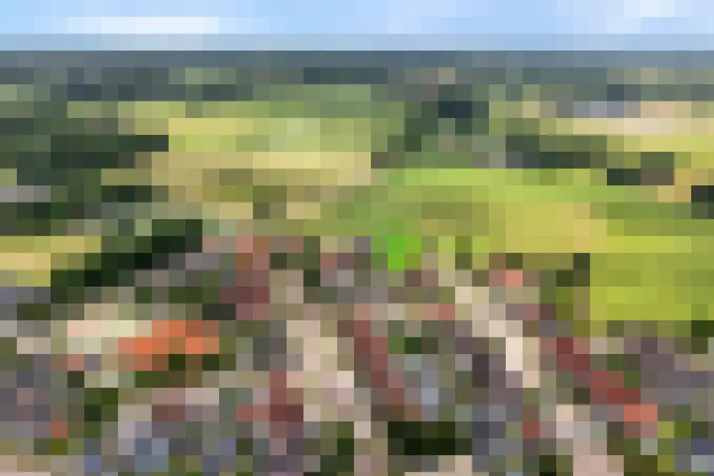 de Korte Drift 9 Rossum thumbnail 35