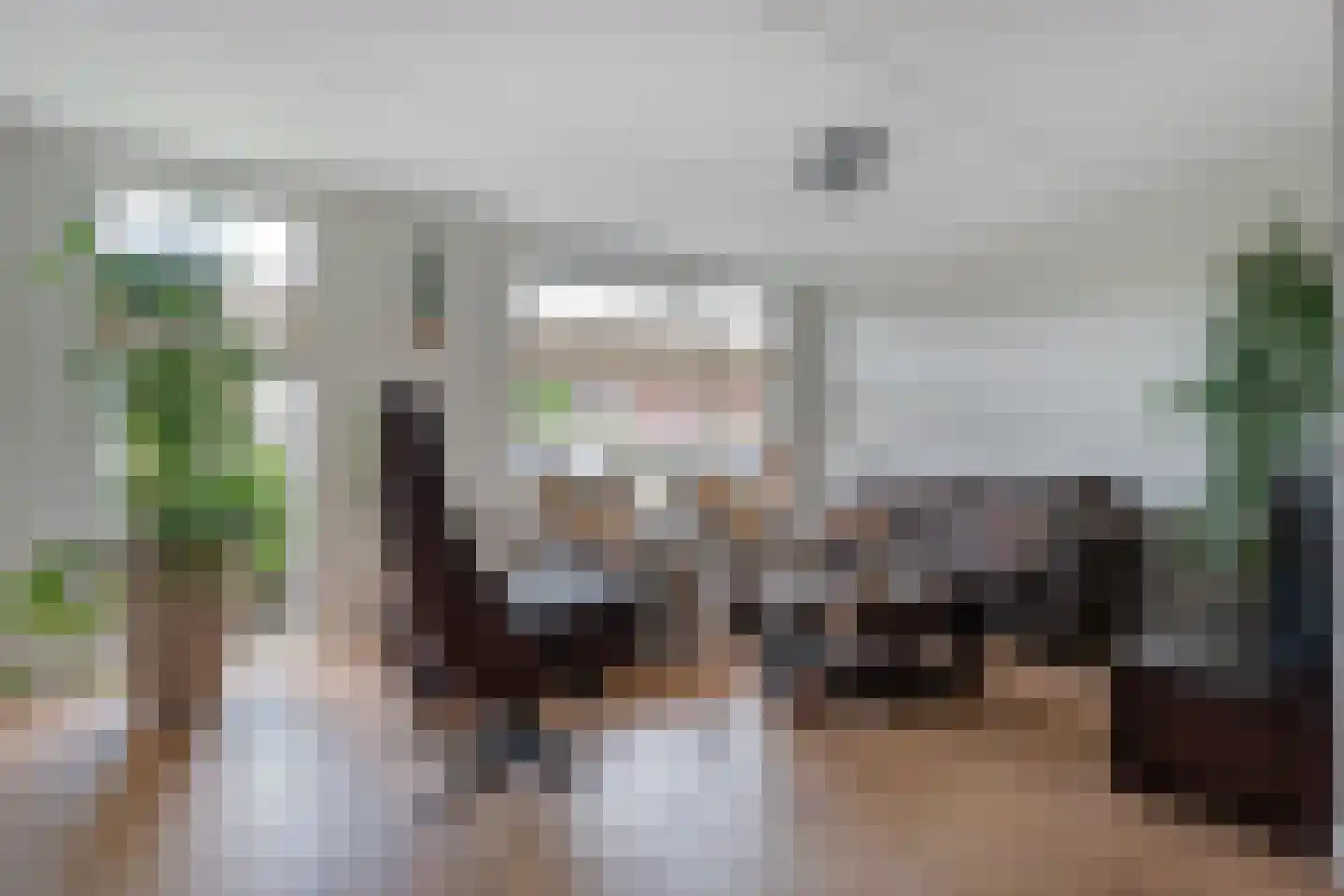 de Korte Drift 9 Rossum thumbnail 9