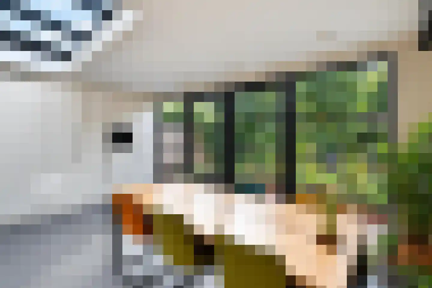 De Korte Helster 120 Elst thumbnail 18