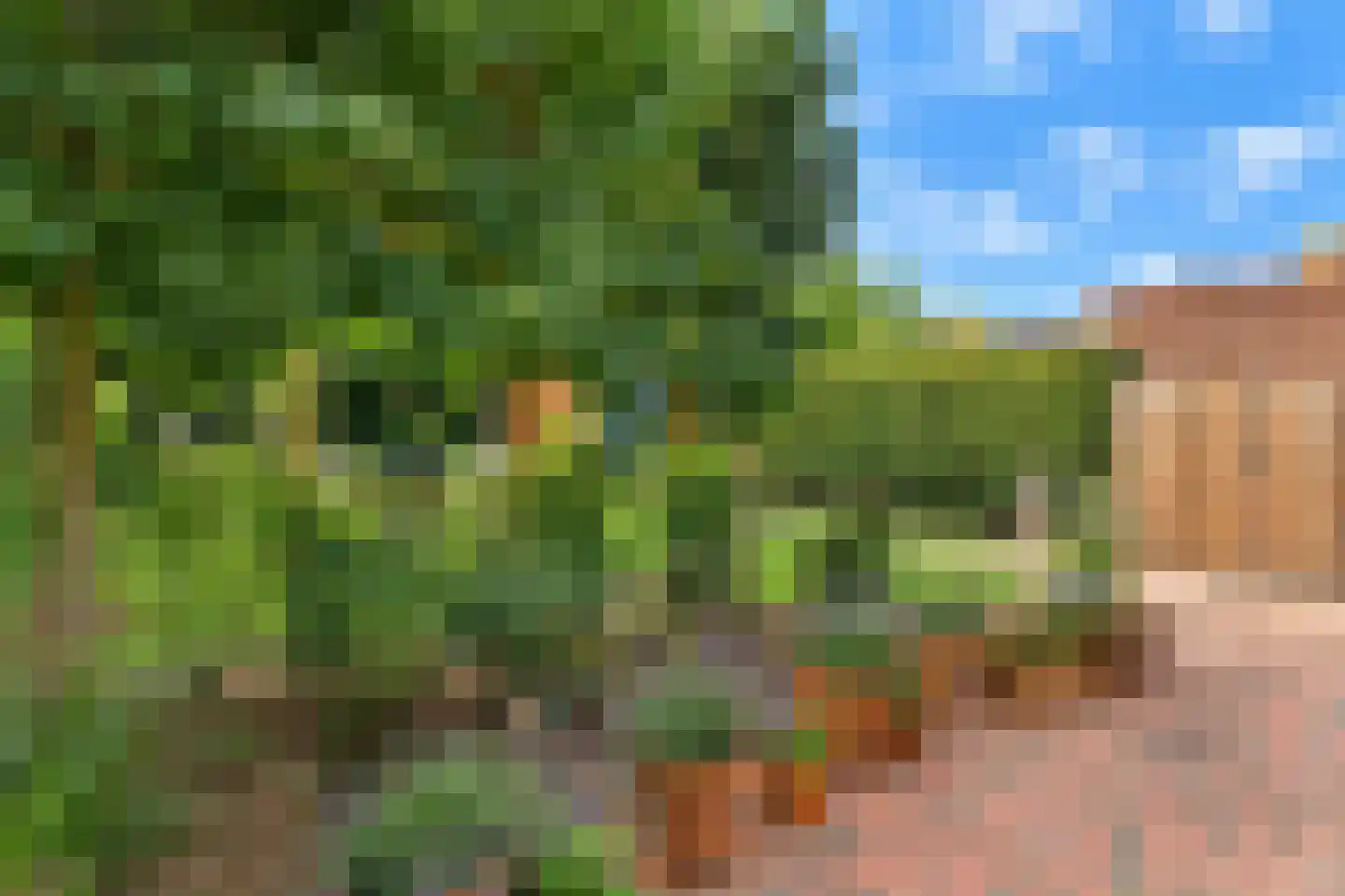 De Korte Helster 120 Elst thumbnail 43