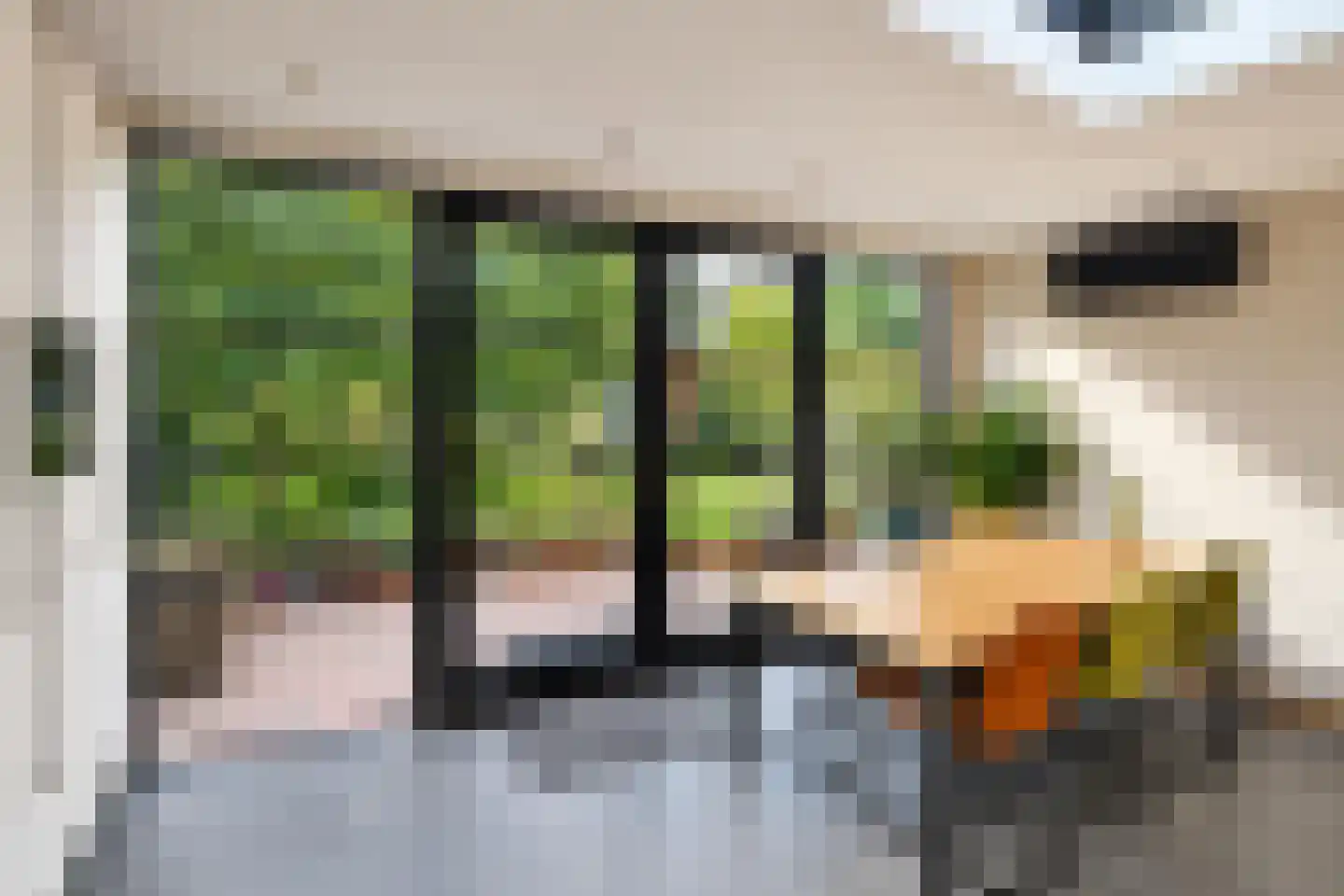 De Korte Helster 120 Elst thumbnail 5