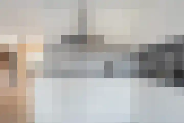 De Korte Lange 4 Pesse thumbnail 11