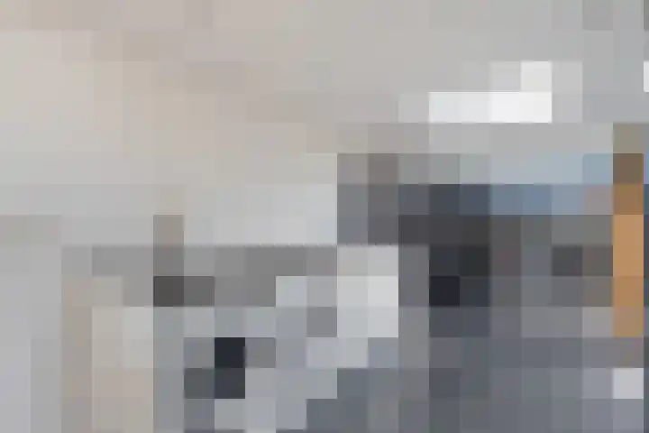 De Korte Lange 4 Pesse thumbnail 12