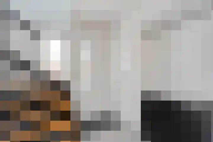 De Korte Lange 4 Pesse thumbnail 14