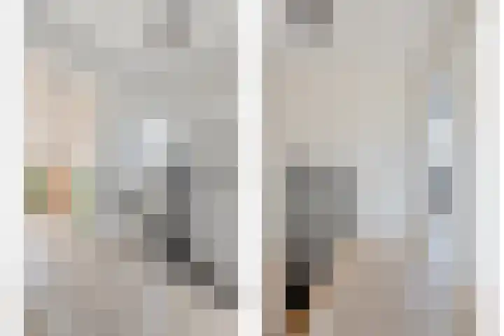 De Korte Lange 4 Pesse thumbnail 16