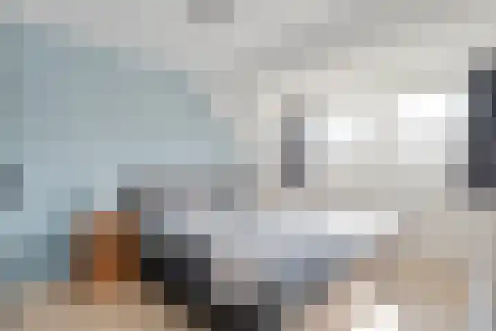 De Korte Lange 4 Pesse thumbnail 17