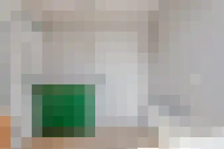 De Korte Lange 4 Pesse thumbnail 20