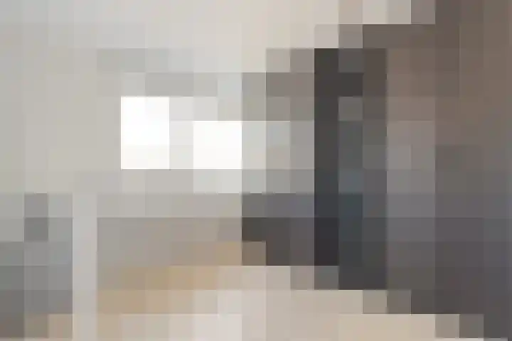 De Korte Lange 4 Pesse thumbnail 21