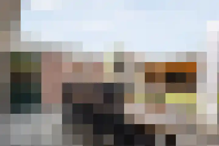 De Korte Lange 4 Pesse thumbnail 26