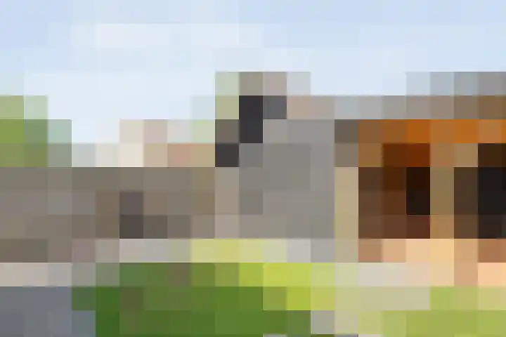 De Korte Lange 4 Pesse thumbnail 28