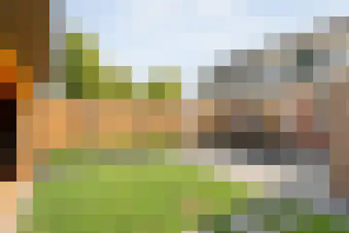 De Korte Lange 4 Pesse thumbnail 29