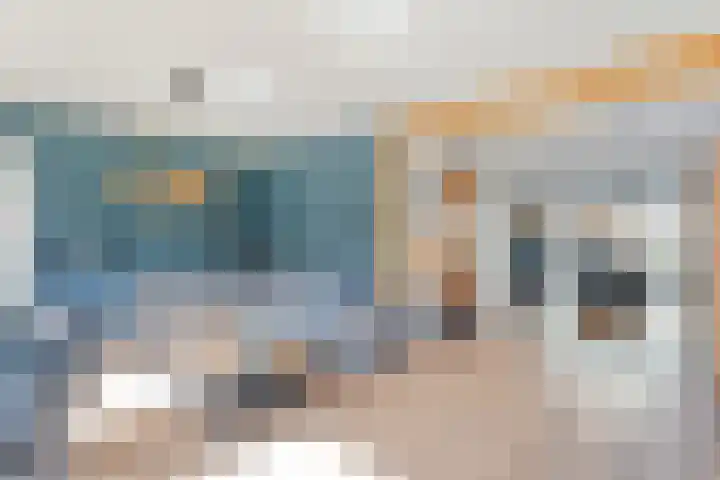 De Korte Lange 4 Pesse foto 3