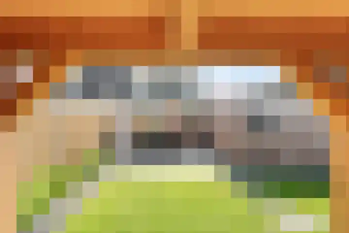 De Korte Lange 4 Pesse thumbnail 32