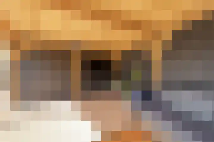De Korte Lange 4 Pesse thumbnail 33
