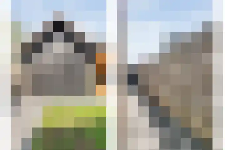 De Korte Lange 4 Pesse thumbnail 34