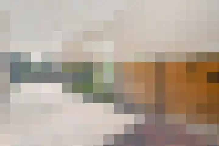De Korte Lange 4 Pesse thumbnail 36