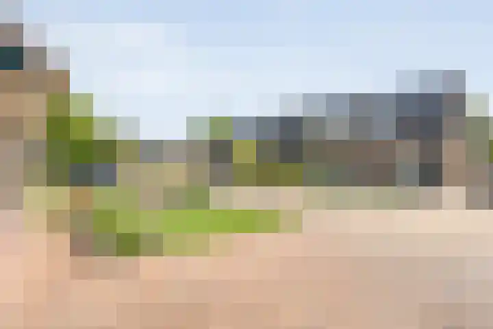 De Korte Lange 4 Pesse thumbnail 37
