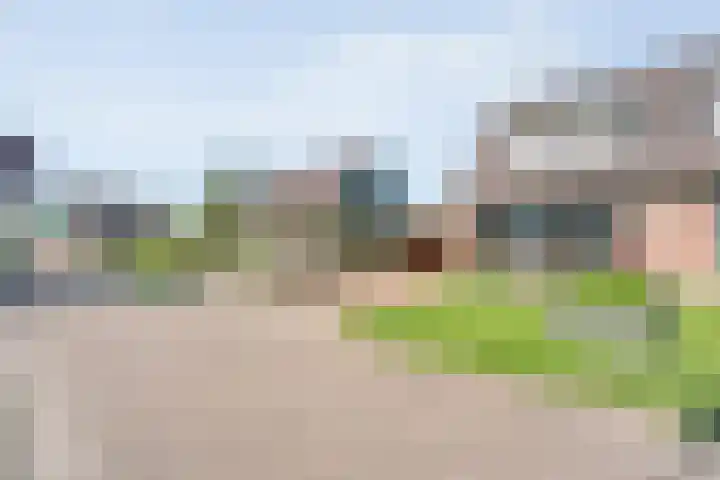 De Korte Lange 4 Pesse thumbnail 38