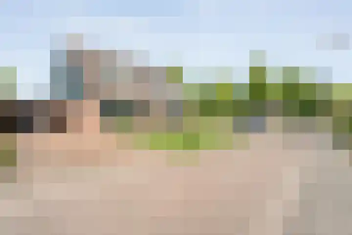 De Korte Lange 4 Pesse thumbnail 39