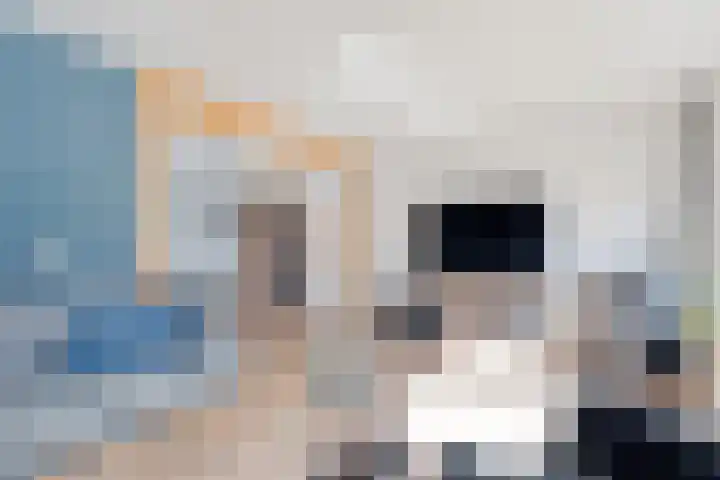 De Korte Lange 4 Pesse thumbnail 4