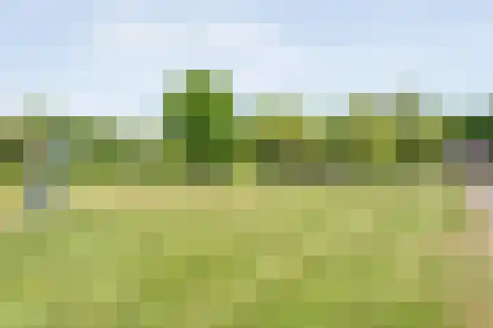 De Korte Lange 4 Pesse thumbnail 40