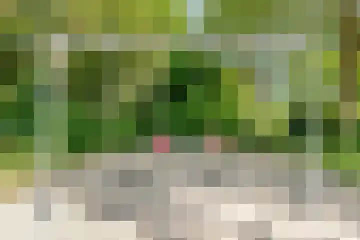 De Korte Lange 4 Pesse thumbnail 41