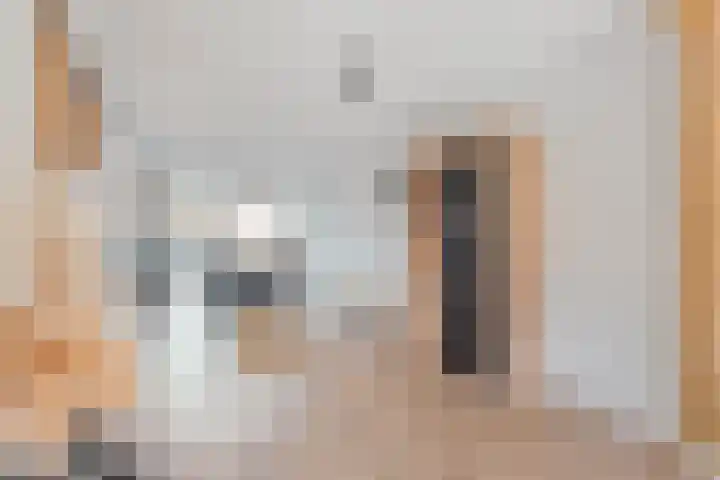 De Korte Lange 4 Pesse thumbnail 5