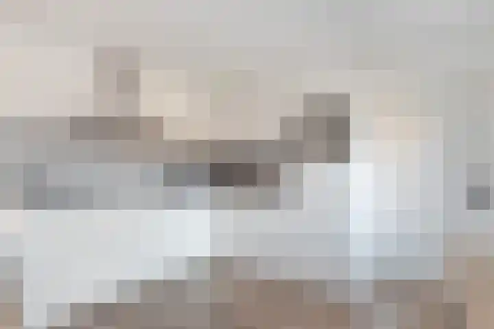 De Korte Lange 4 Pesse thumbnail 9