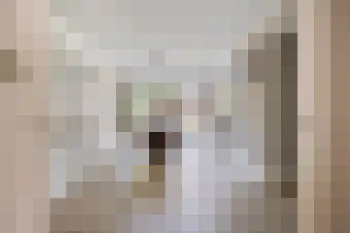 De Korte Louwstraat 7 Schaijk thumbnail 14