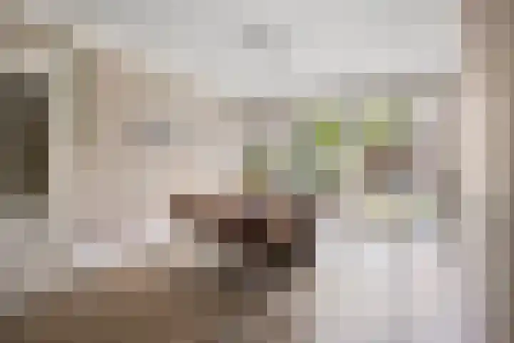 De Korte Louwstraat 7 Schaijk thumbnail 15