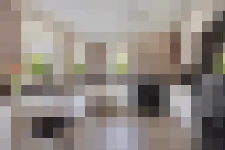De Korte Louwstraat 7 Schaijk thumbnail 19