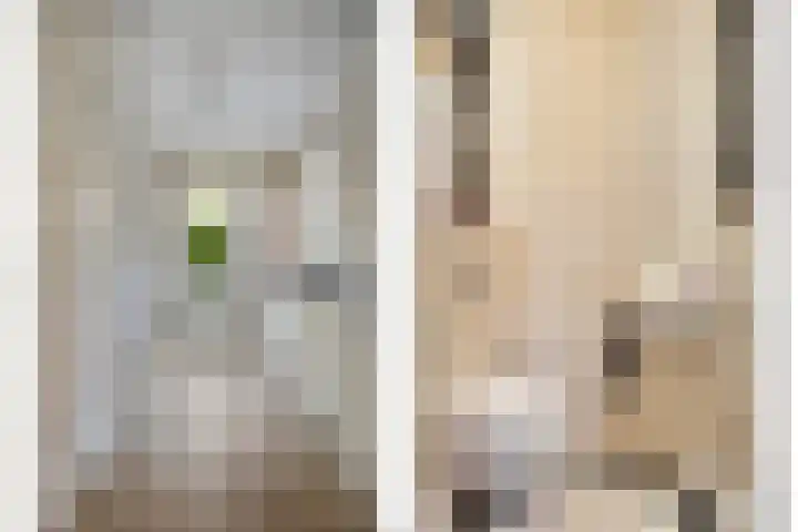 De Korte Louwstraat 7 Schaijk thumbnail 22