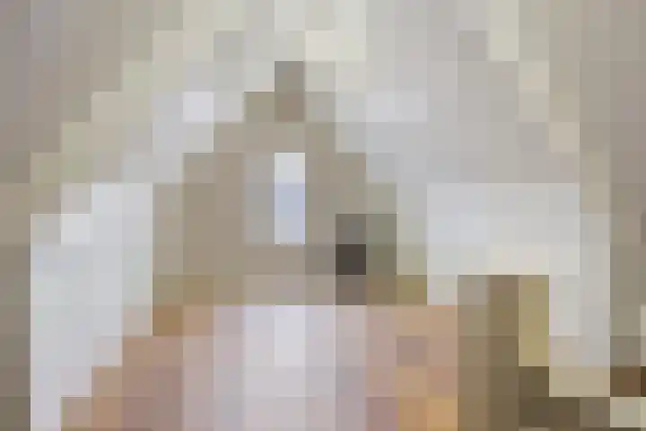 De Korte Louwstraat 7 Schaijk thumbnail 36
