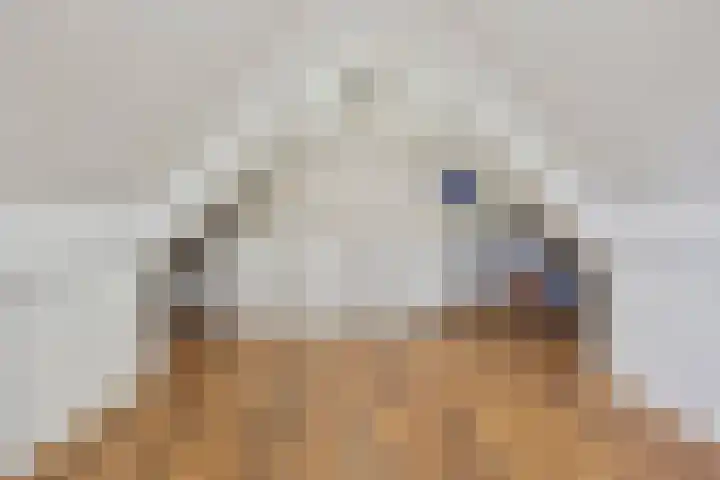 De Korte Louwstraat 7 Schaijk thumbnail 37