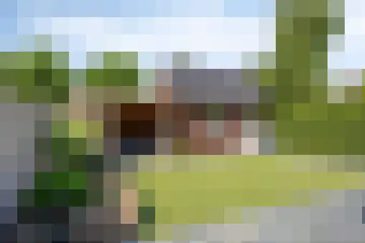De Korte Louwstraat 7 Schaijk thumbnail 39