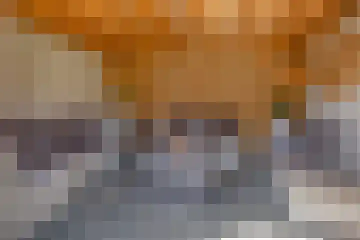 De Korte Louwstraat 7 Schaijk thumbnail 40