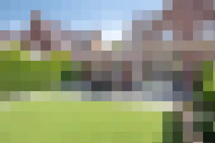 De Korte Louwstraat 7 Schaijk thumbnail 42