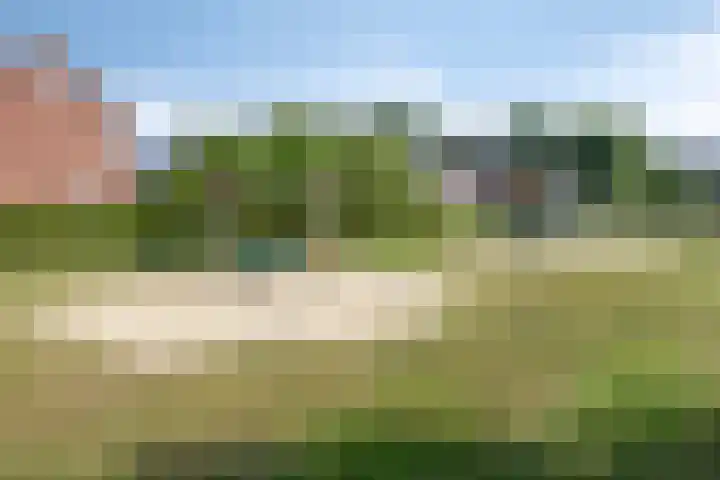 De Korte Louwstraat 7 Schaijk thumbnail 43
