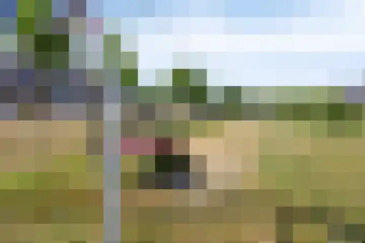 De Korte Louwstraat 7 Schaijk thumbnail 44