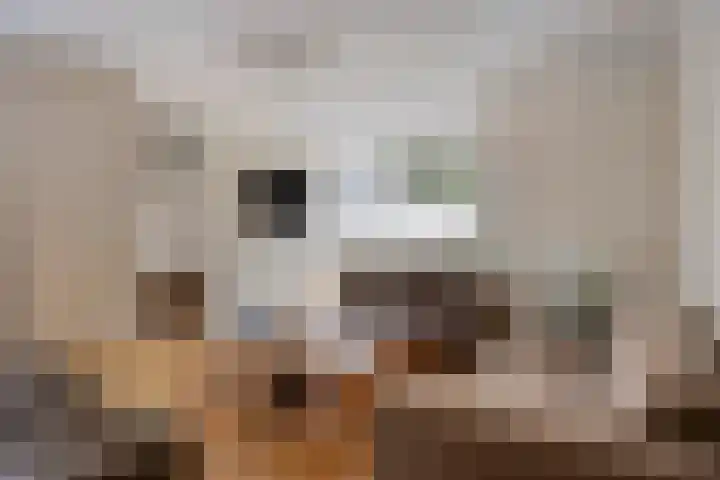 De Korte Louwstraat 7 Schaijk thumbnail 8