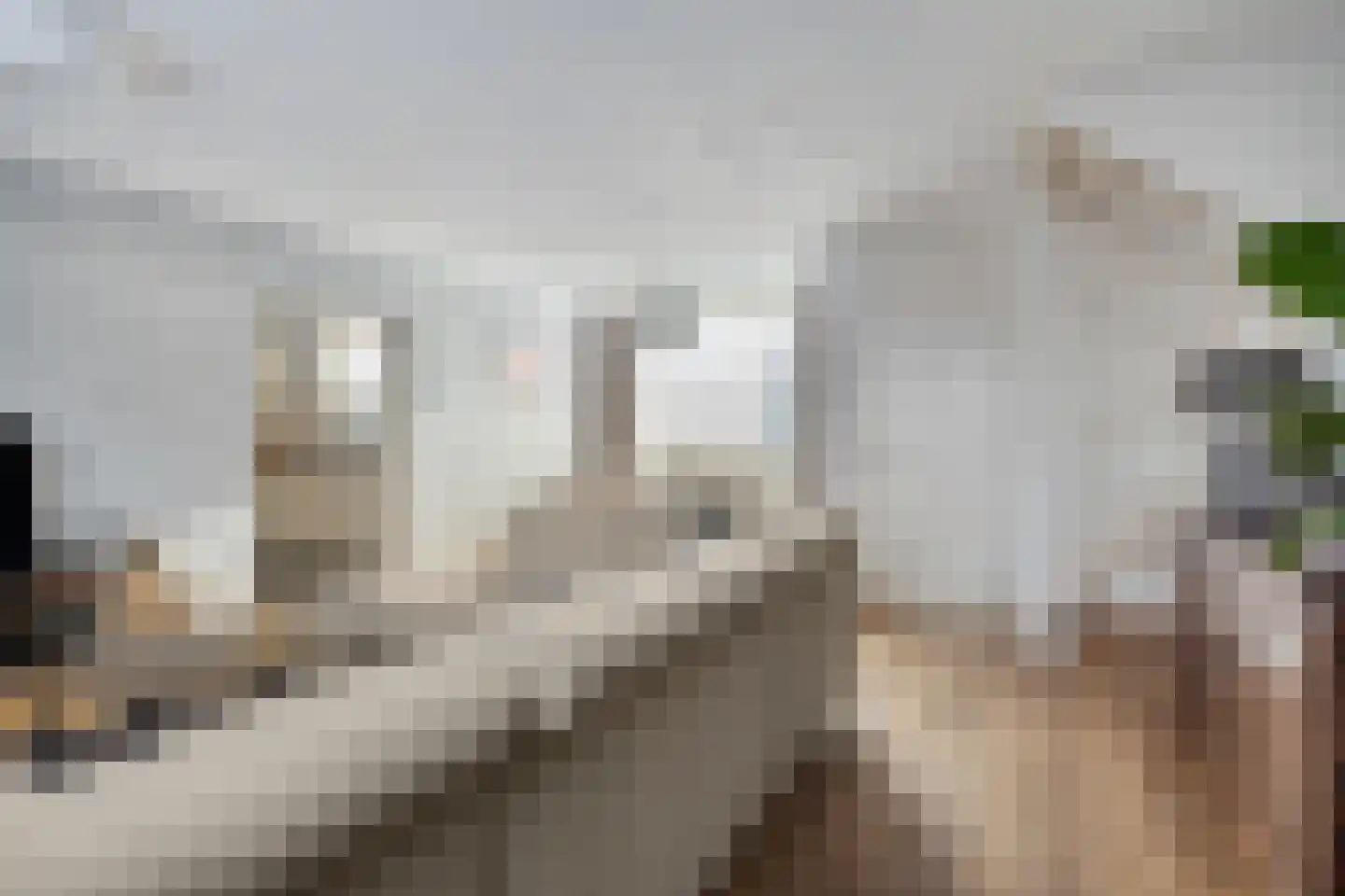 de korte Spruit 1 Oirschot thumbnail 14