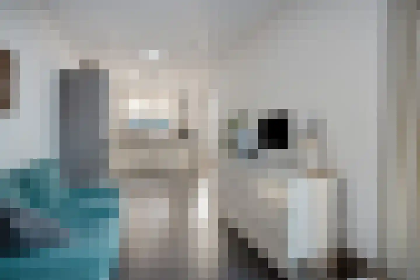 de korte Spruit 1 Oirschot thumbnail 21