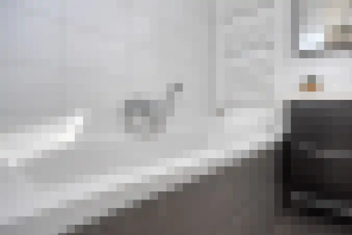 de korte Spruit 1 Oirschot thumbnail 29