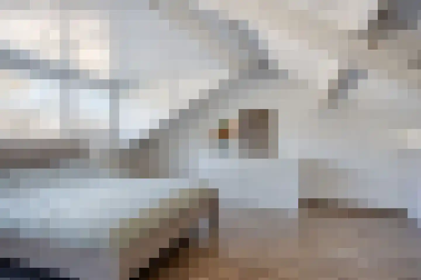 de korte Spruit 1 Oirschot thumbnail 32